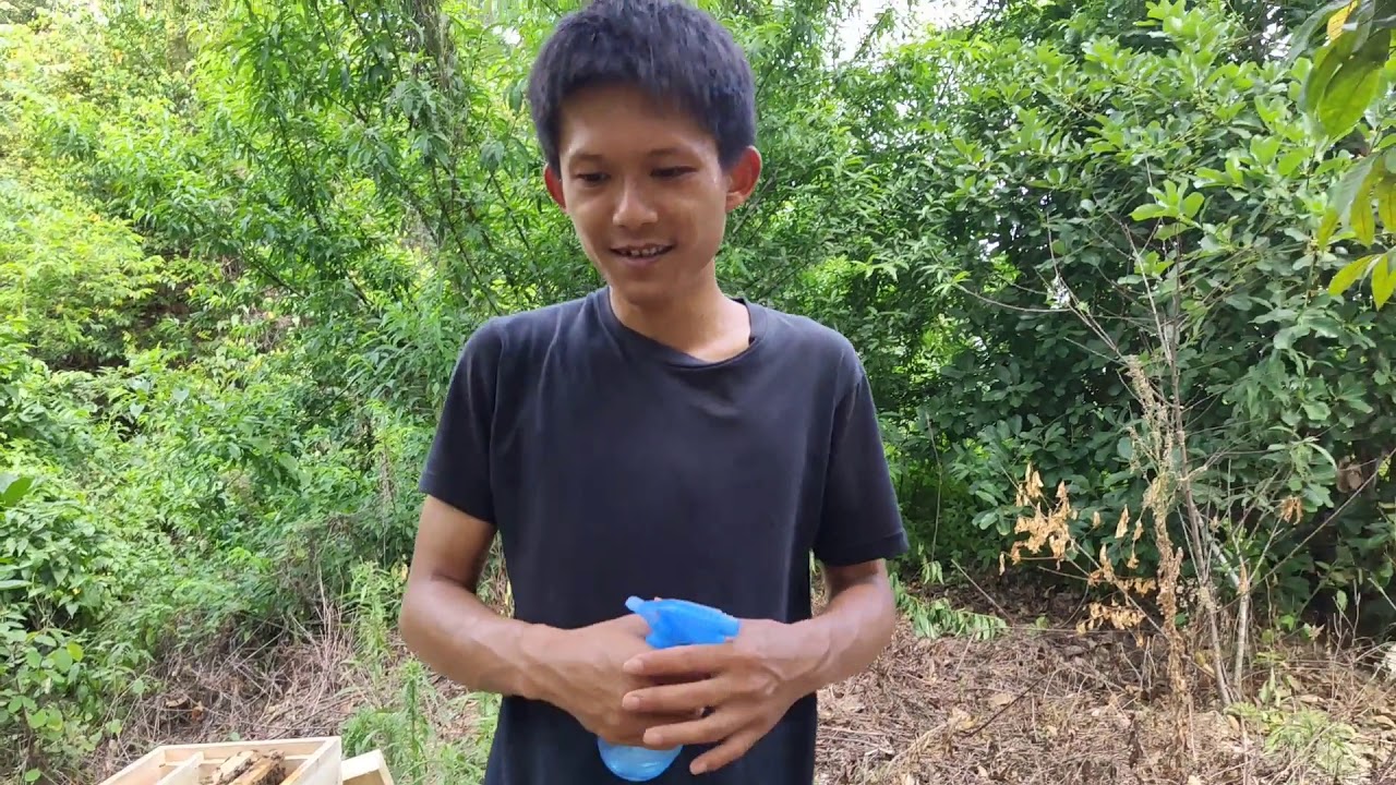 【真過癮】诱蜂桶收了一窝蜜蜂蛋群，小伙把蜂王和工蜂一起合并到另外一群去