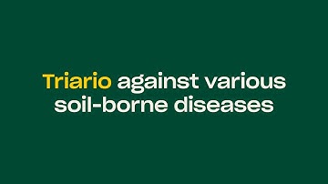 Triario against various soil-borne diseases