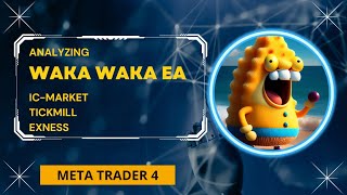 Waka Waka EA Analyzing Last 3 Months Performance With IC-Market, Tickmill and Exness | MT4