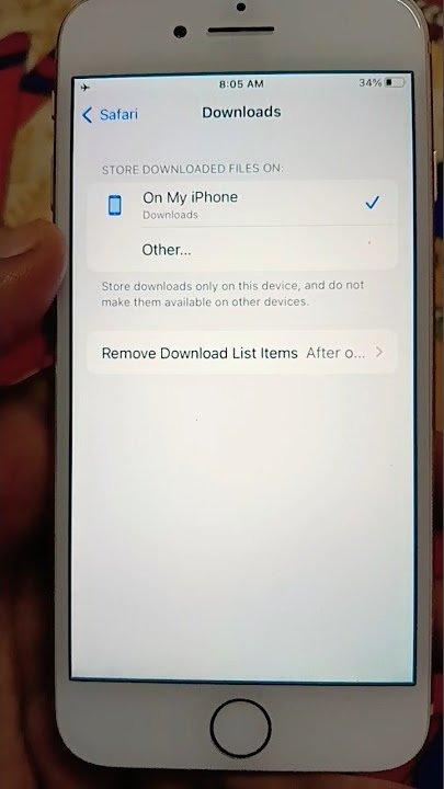 Safari Download Settings