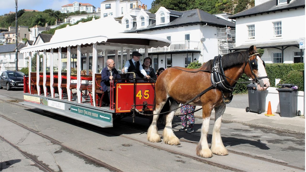 The Douglas Bay Horse Tramway (July & August 2024) - YouTube