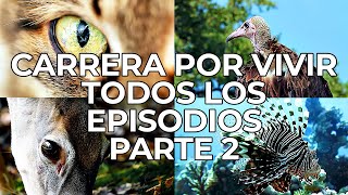 Carrera por Vivir: Todos los Episodios Parte 2 | Free Documentary Nature   Español