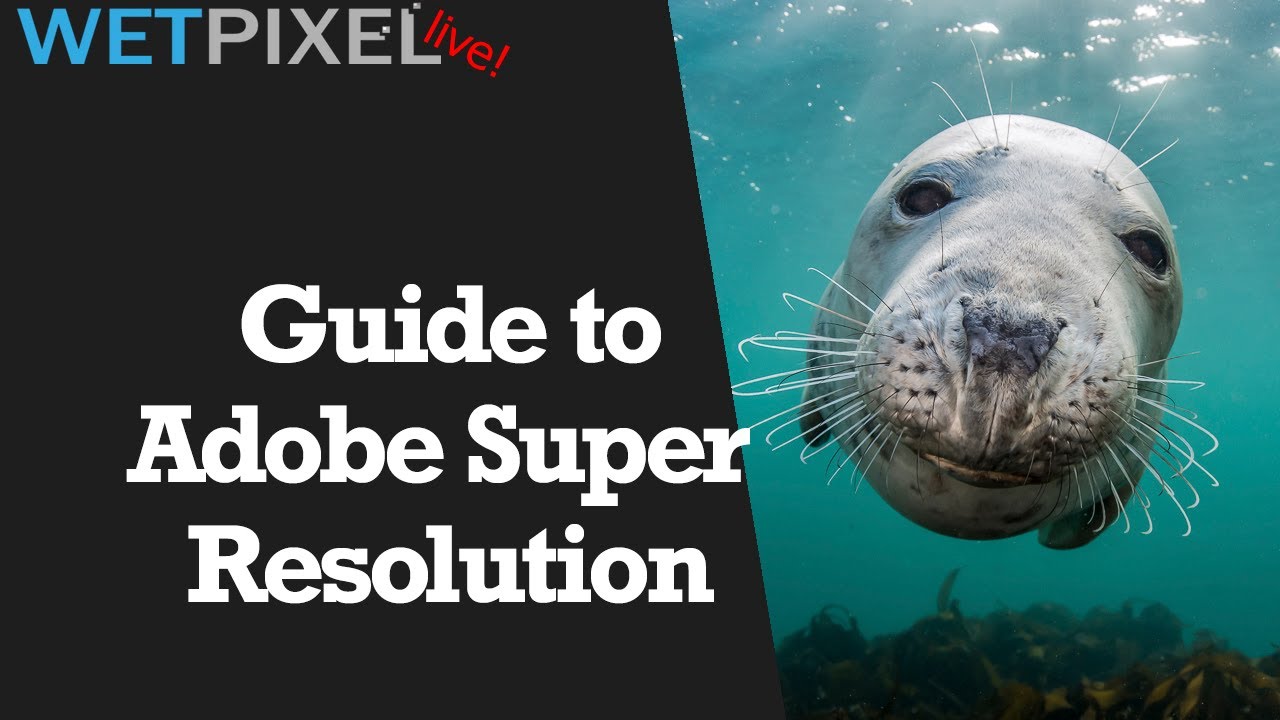 Adobe's Super Resolution for the Underwater Photographer - YouTube