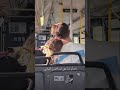 اروع اغنية رومانسية حب وغرام موسيقى اجمل حالات واتس اب انستا فيس حب ستوريات نغمة حبيبي