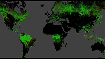 [LIVE] Mapping Global Forest Change: Discussion, Demonstration, live Q&A