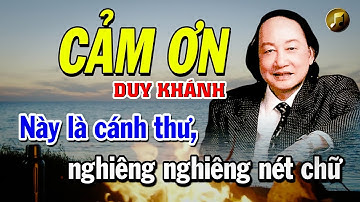 Cảm Ơn (Ngân Khánh) - Duy Khánh | Video Có Lời Bài Hát