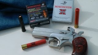 .410 Winchester PDX1 Gel and Meat Test