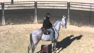 What To Do When Riding a Horse That Gets Out of Control