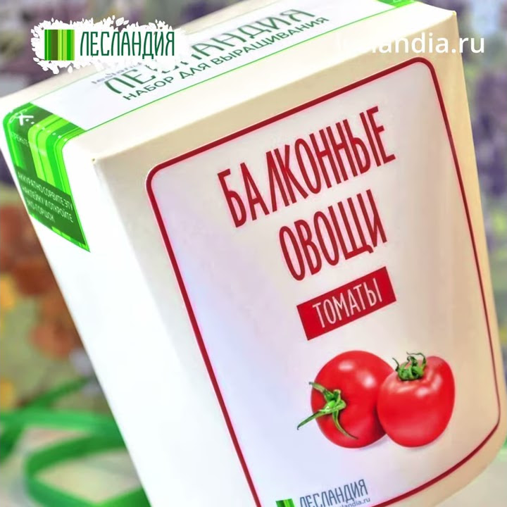 Балконные томаты - набор для выращивания - YouTube
