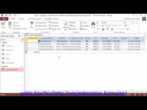 Microsoft Office Access Tutorial 2013 Using Queries 7.7 Employee Group Training