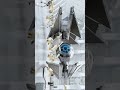 The Real Rebellion Starts Here (Texas Quail Edition) AndorFanArt StarWarsShorts