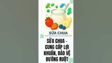 Sữa chua – Cung cấp lợi khuẩn, bảo vệ đường ruột