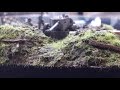 Diorama Pak 40 Wehrmacht 1/72