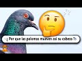 20 Preguntas Curiosas que No Sabías en 10 Minutos #15