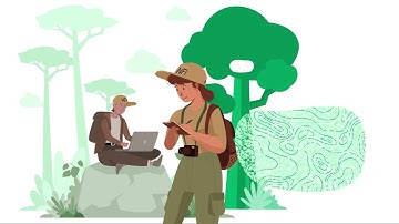 The EU Forest Monitoring Regulation proposal - Explainer