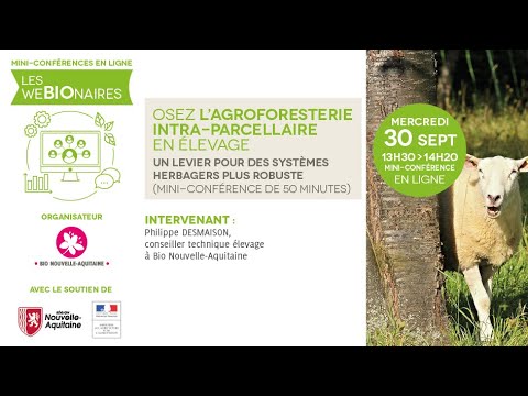 Osez l’agroforesterie intra-parcellaire en élevage