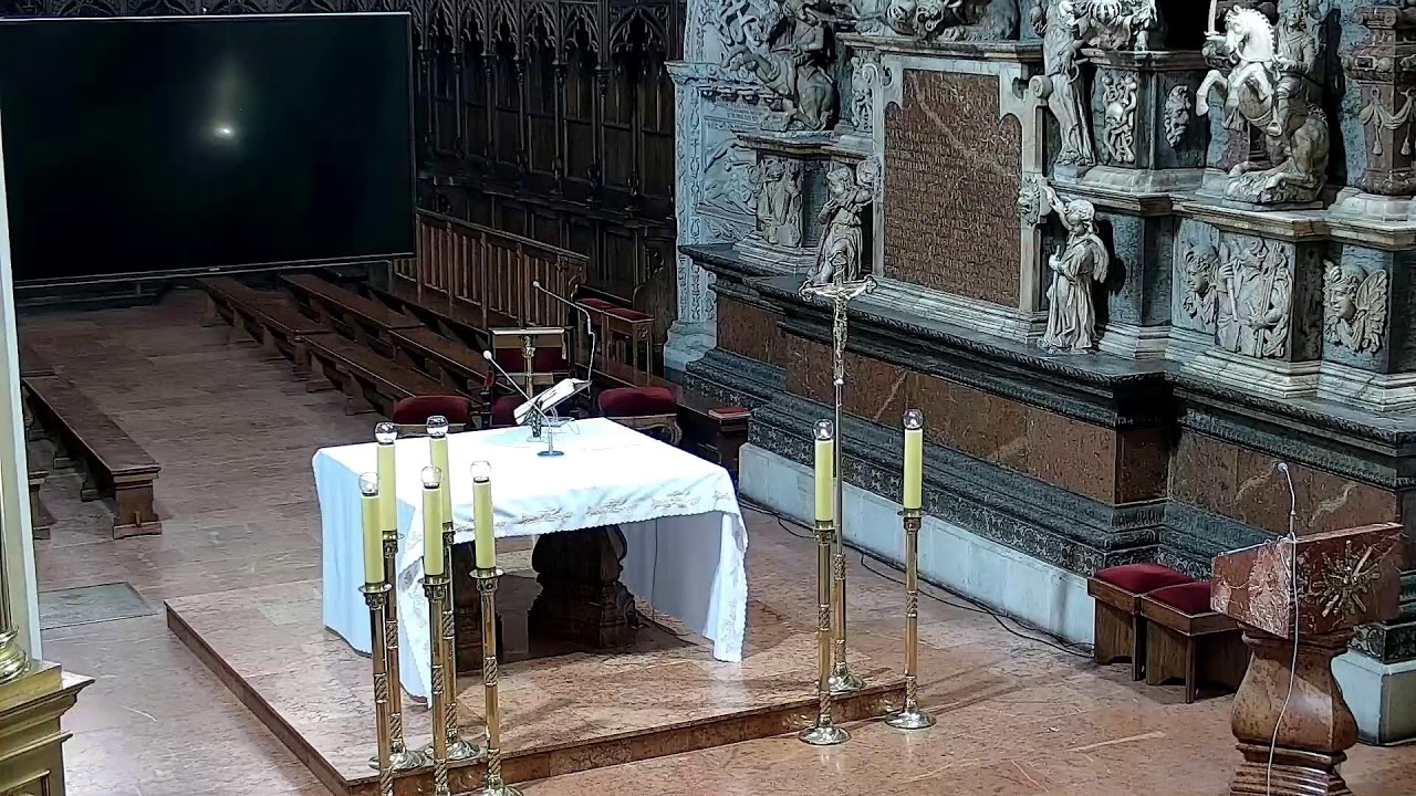 Transmisja z Katedry Tarnowskiej