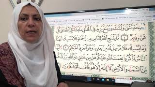 سورة فاطر بداية تجويد واتقان