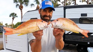 OFFSHORE SHARK FRENZY!  Coconut Crusted Fish!