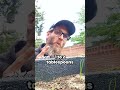 Adding Fertilizer To Garden Bed! #diy  #garden #homesteadlife #gardentips
