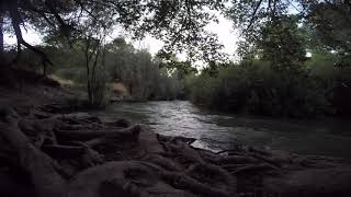 LiveStreaming Cache Creek Wildlife Area in California Enjoy Peaceful Relaxing Water Nature Sounds by WeekendFrontier 91 views 6 months ago 8 minutes, 21 seconds