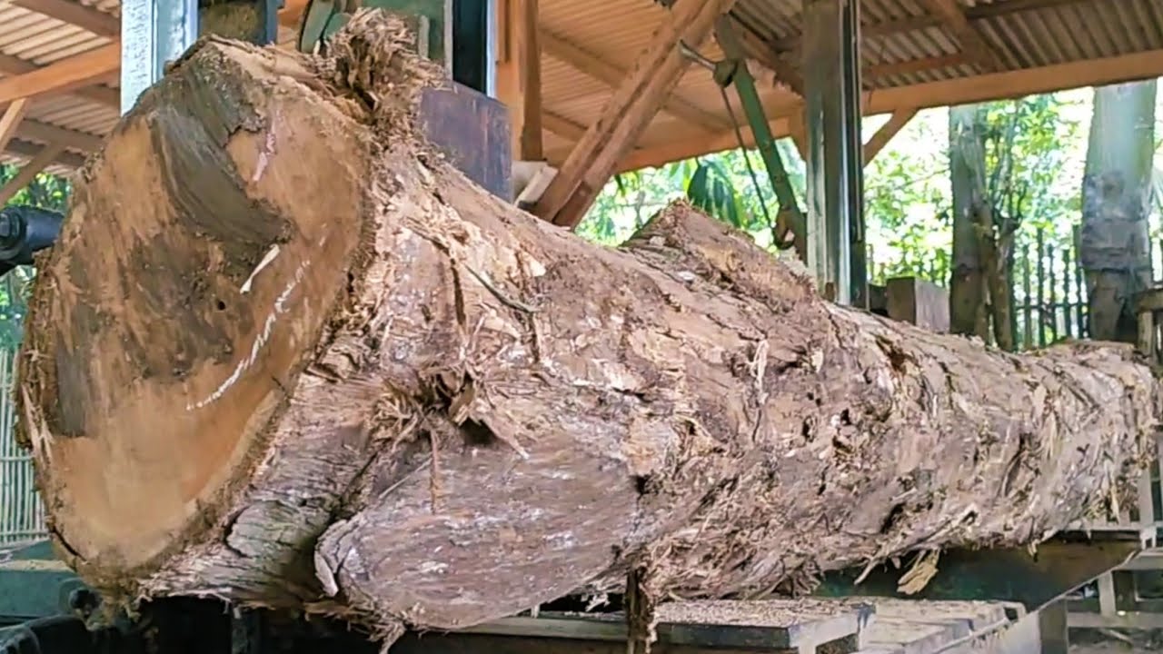 The amazing process of sawing selected teak wood at the Sawmill - YouTube