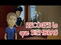 RECOGES lo que SIEMBRAS | Reflexiones de la vida