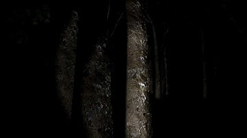 ◀Slender - Scariest game ever. (Gameplay & Commentary) Part.1  w/Scripts