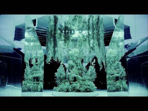 ダグ・エイケン コロナ禍においてダグ・エイケン《New Ocean: thaw》が