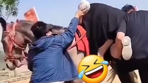 Funniest Funny Videos Compilation 2025  Episode 16 | Try Not To Laugh Challenge | Funny Videos | 