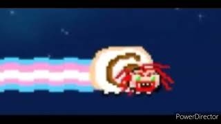 Nyan Pickles