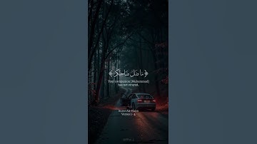 #قرآن #راحة_نفسية #تلاوة_خاشعة #duet #لايك #اكسبلور #follow #foryou #fyp #reels #quran #viralvideo