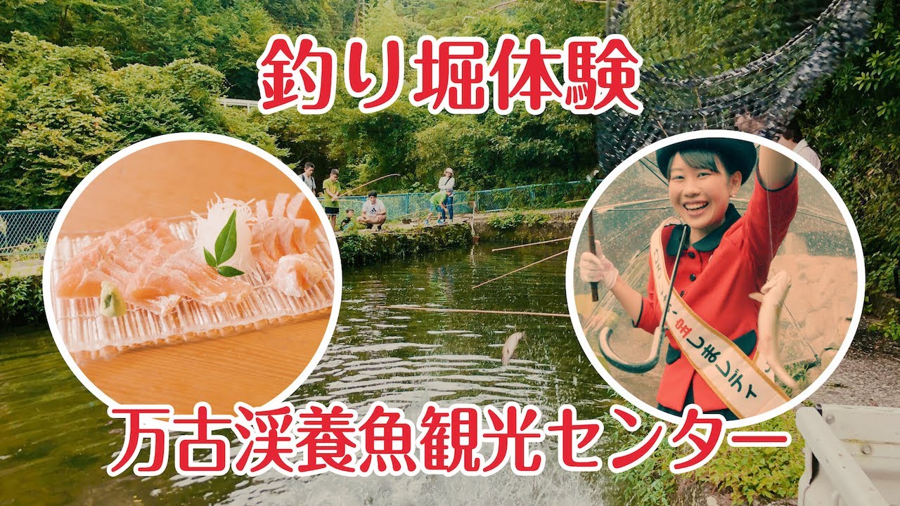 釣り堀体験 万古渓養魚観光センター Youtube