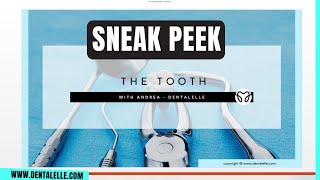 Teaching 'The Tooth' Sneak Peek l Board Exam Prep by Dentalelle with Andrea 103 views 3 months ago 5 minutes, 44 seconds