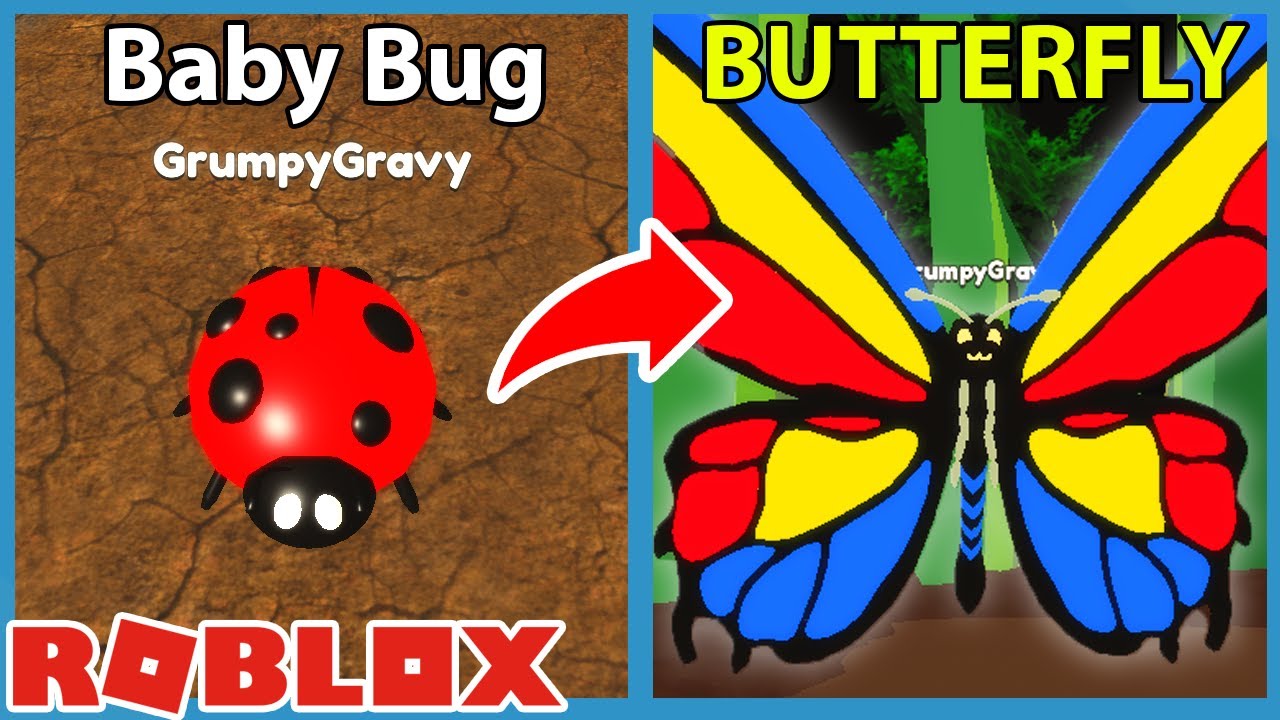 I Unlocked The Legendary Butterfly Bug In Roblox Bug Simulator - YouTube