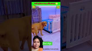 #entertainment #viral #funny #shortvideo #comedy #shorts