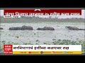 Chandrapur Elephant : चंद्रपूर जिल्ह्यात जवळपास 25 हत्तींचा कळप दाखल