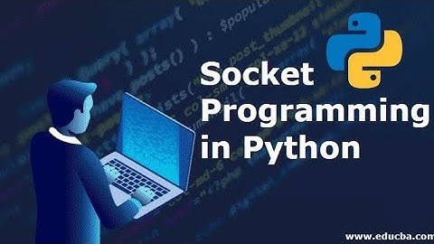 socket chat room python