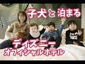 子犬と一緒にディズニー旅行 犬も泊まれるディズニーホテル!ディズニーランド編