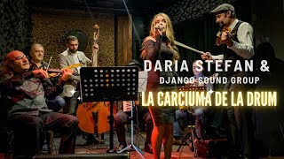 Daria Stefan & Django Sound Group - La Carciuma De La Drum
