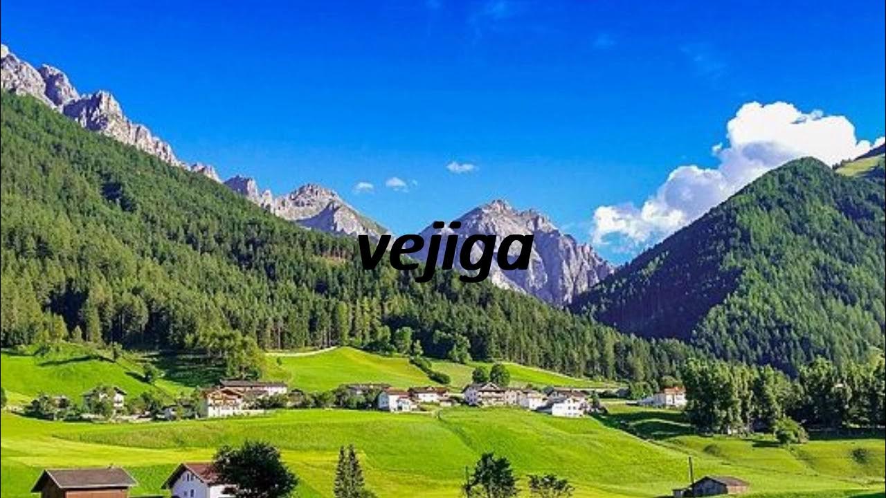 How to say bladder in Spanish? vejiga YouTube