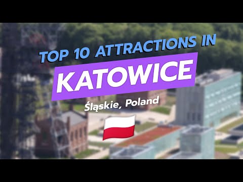 Top 10 Attractions