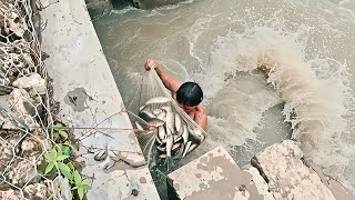 Download Lagu MENJEMPUT REJEKI ‼️ BAPAK INI JALA IKAN DI SUNGAI PANEN BANYAK IKAN MP3