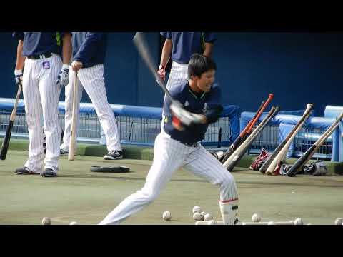 山田哲人選手　秋季キャンプ　トスバッティング練習