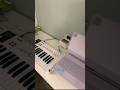 Setup #music #newartist #newmusic #newsinger