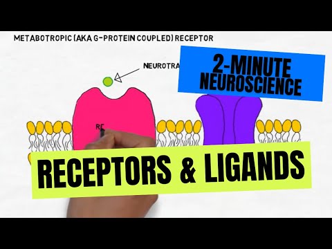 Video: Vad är AG-proteinreceptor?