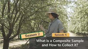 What is a Composite Sample and How to Collect it?