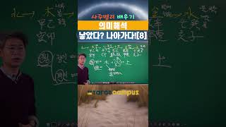 “📢 타로캠퍼스 신종민 교수의 사주명리 배우기 의미해석 낳았다? 나아가다![8] #shorts✨”