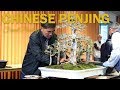 Chinese Penjing Demonstration with Interview