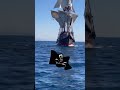 Pirate Ship Coming At Us Weekendexplorer Pirate Pirates Pirateship Tallships Tallship Pirate Ship Coming At Us Weekendexplorer Pirate Pirates Pirateship Tallships Tallship